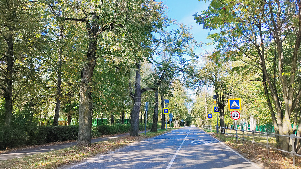 2-к квартира, 46.3 кв.м., д. Софьино